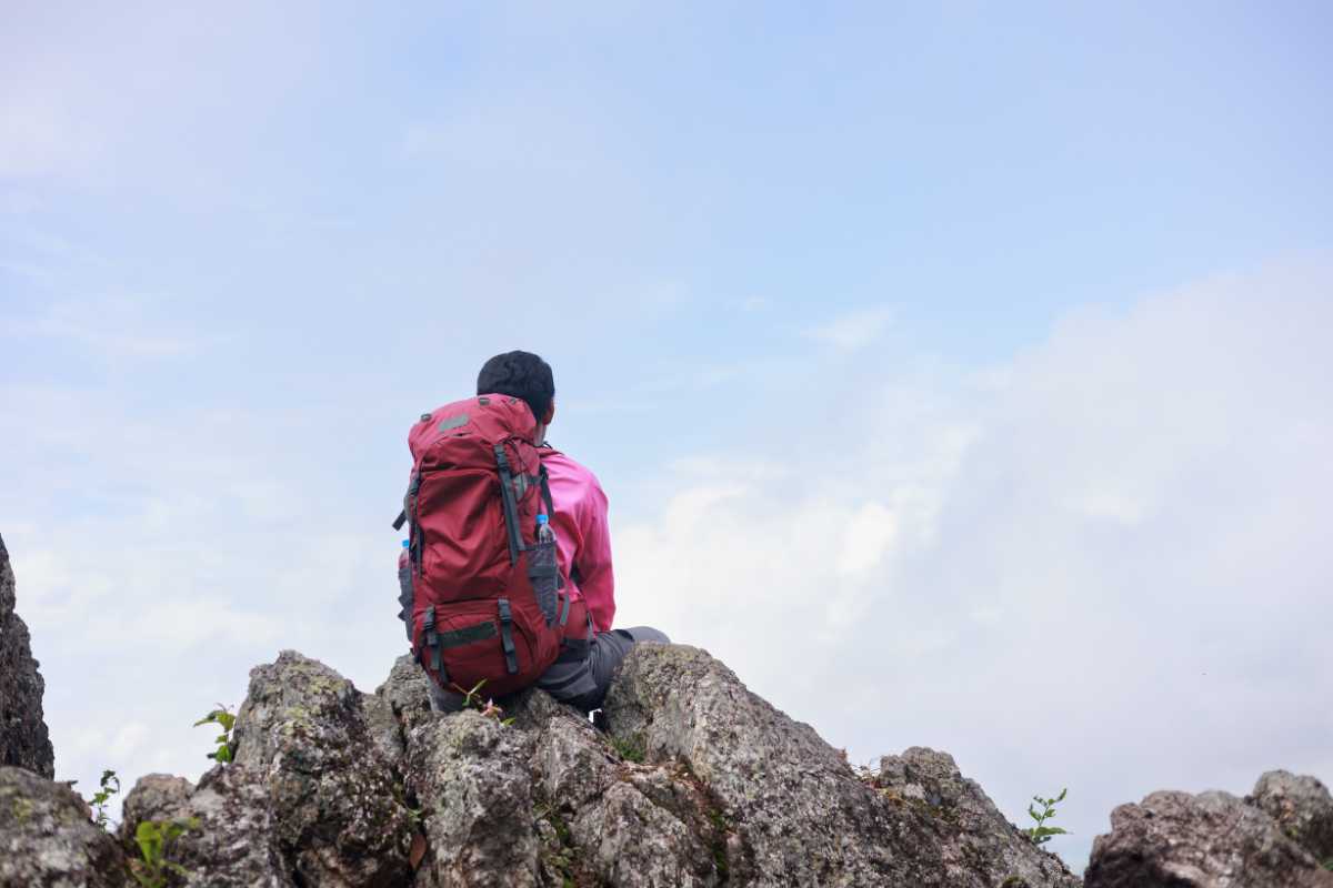 Escursione panoramica nei pressi dei laghi di Mantova
