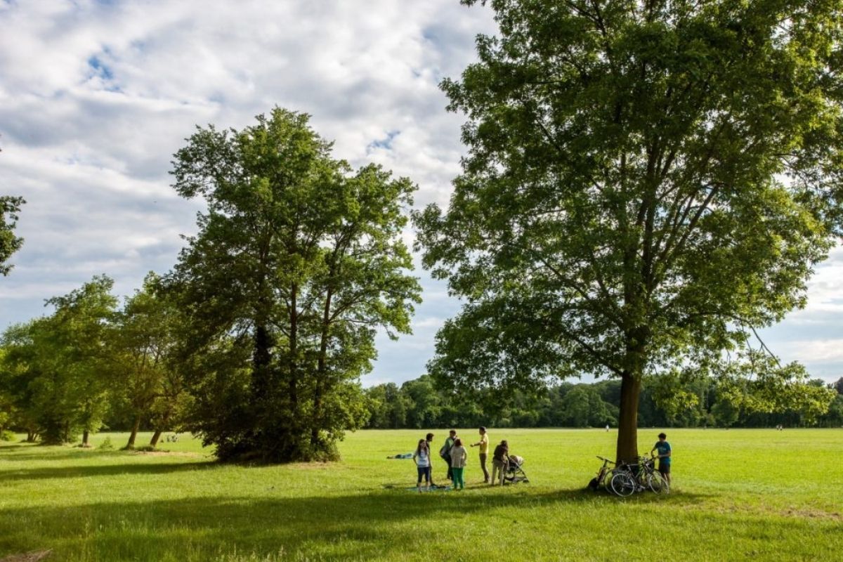 Interno del Parco di Monza, con sentieri alberati e persone che praticano attività all'aperto
